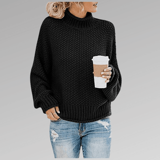 Armelle | Pull col roulé en grosse maille
