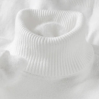 Sacha | Pull col roulé doux